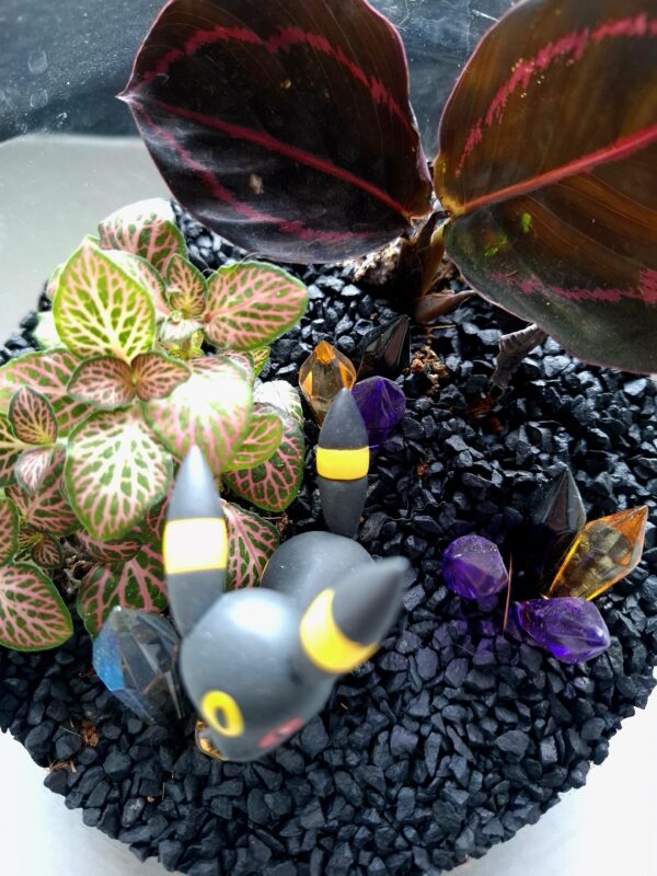 Terrarium Noctali – Image 2